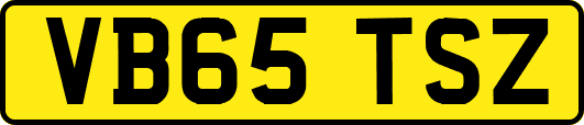 VB65TSZ