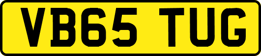 VB65TUG