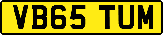 VB65TUM