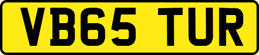 VB65TUR