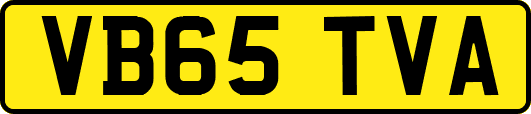 VB65TVA