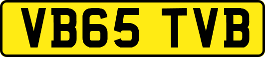 VB65TVB