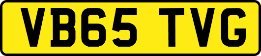 VB65TVG