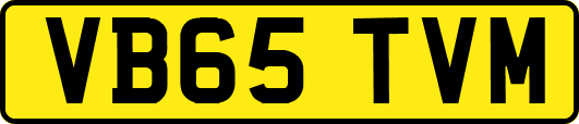 VB65TVM