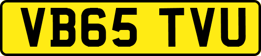 VB65TVU