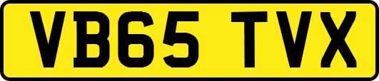 VB65TVX