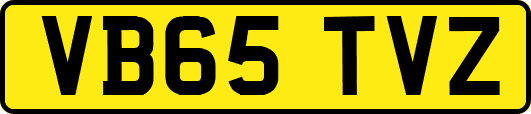 VB65TVZ