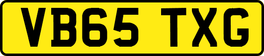 VB65TXG