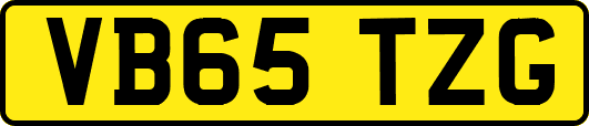 VB65TZG