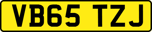 VB65TZJ
