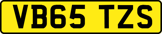 VB65TZS