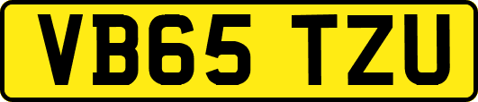 VB65TZU
