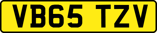 VB65TZV