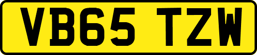 VB65TZW