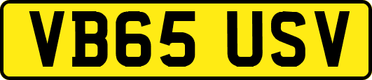 VB65USV