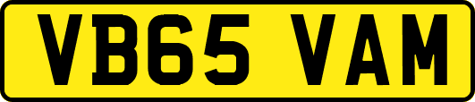 VB65VAM