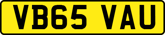 VB65VAU