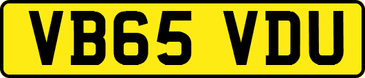 VB65VDU