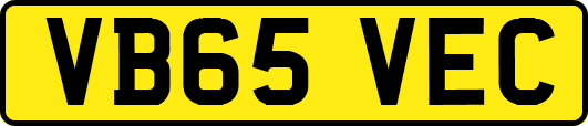 VB65VEC