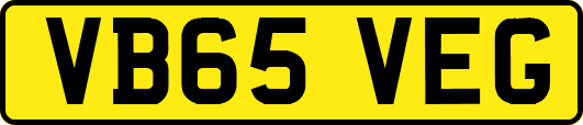 VB65VEG