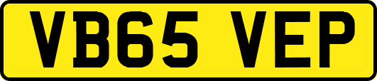 VB65VEP