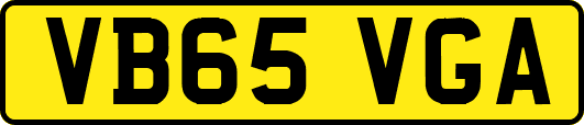 VB65VGA