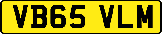 VB65VLM