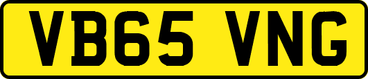 VB65VNG