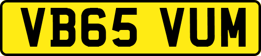 VB65VUM
