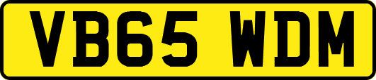 VB65WDM