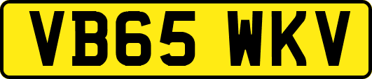 VB65WKV
