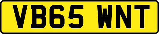 VB65WNT