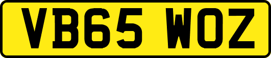 VB65WOZ