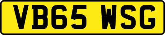 VB65WSG