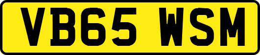 VB65WSM