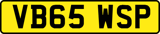 VB65WSP