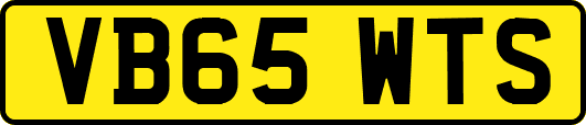 VB65WTS