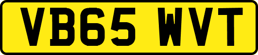 VB65WVT