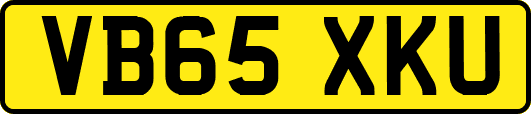 VB65XKU
