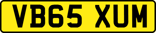 VB65XUM