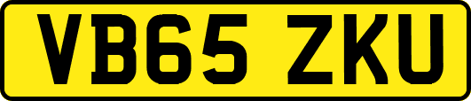 VB65ZKU