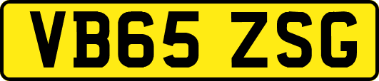 VB65ZSG