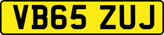 VB65ZUJ