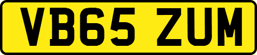 VB65ZUM