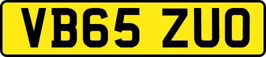 VB65ZUO