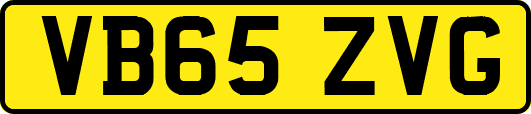 VB65ZVG
