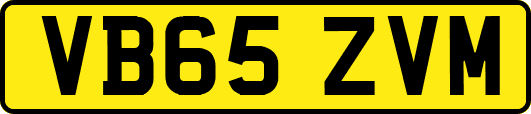 VB65ZVM