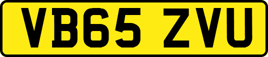 VB65ZVU
