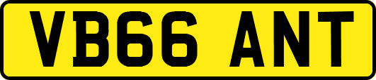 VB66ANT