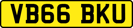 VB66BKU